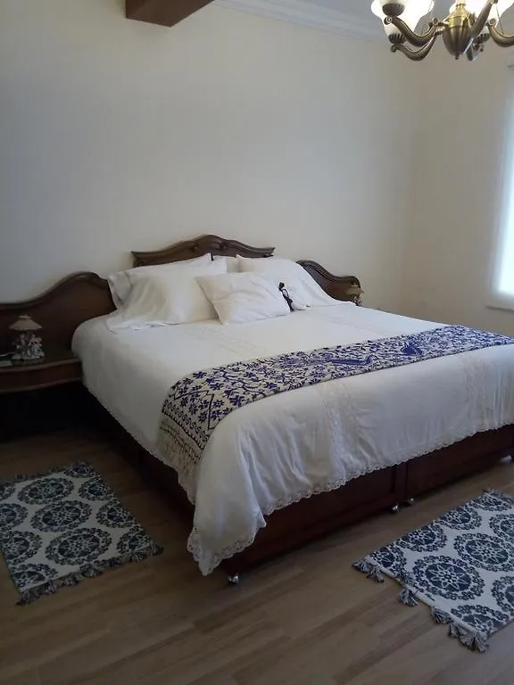 Residencia Ejecutiva Puebla Holiday home