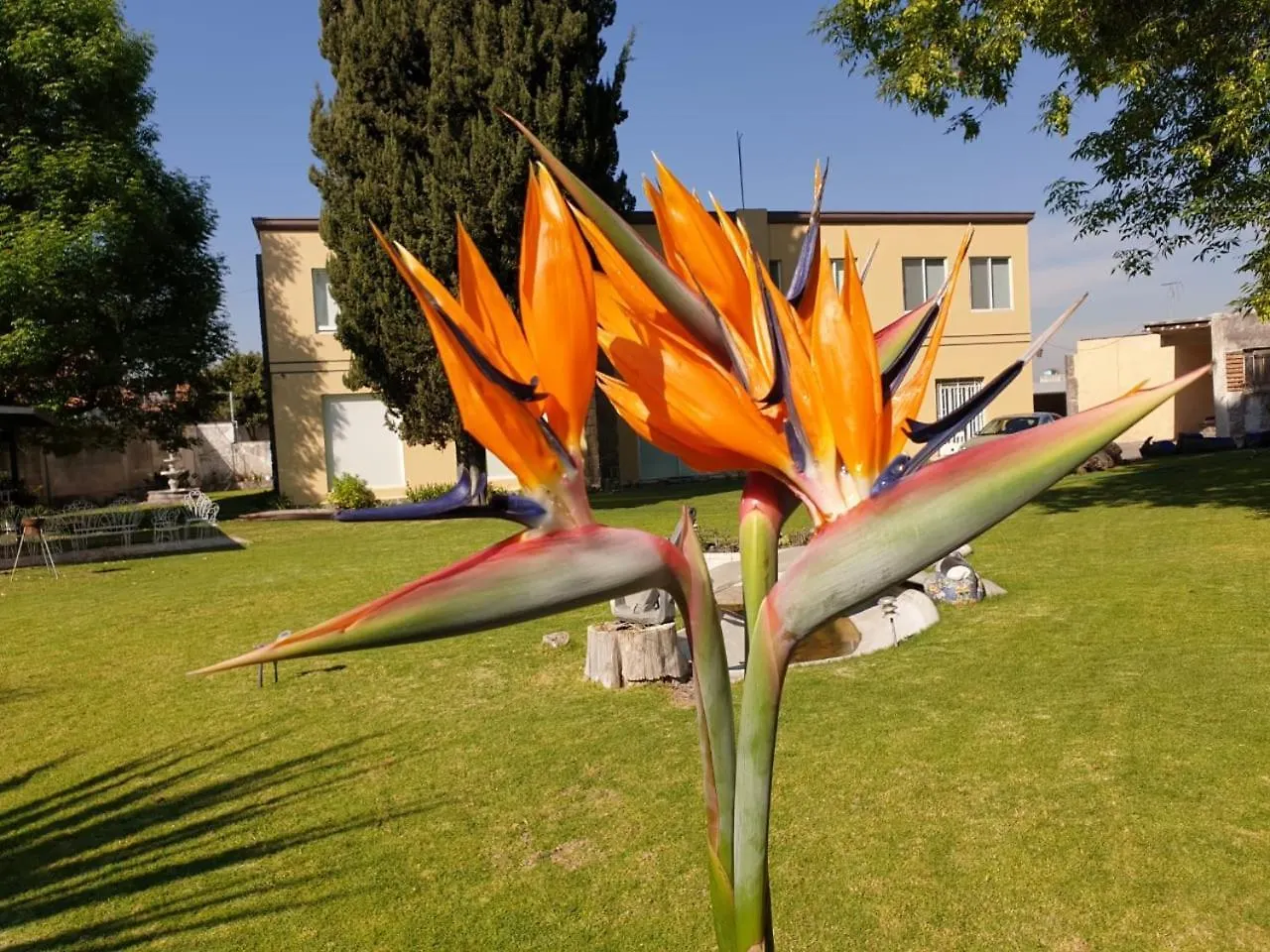 Residencia Ejecutiva Puebla Holiday home