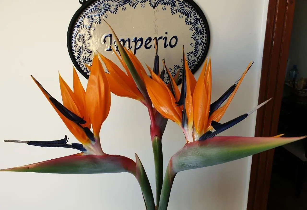 Residencia Ejecutiva Puebla Holiday home Mexico